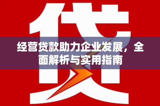 湖内经营贷款助力企业发展，全面解析与实用指南