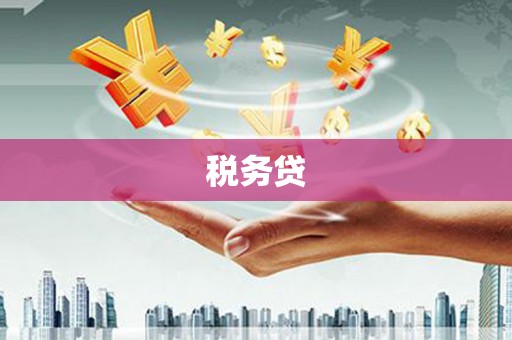 湖内税务贷