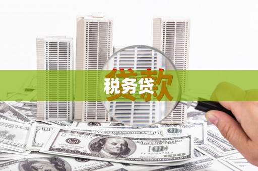 湖内税务贷