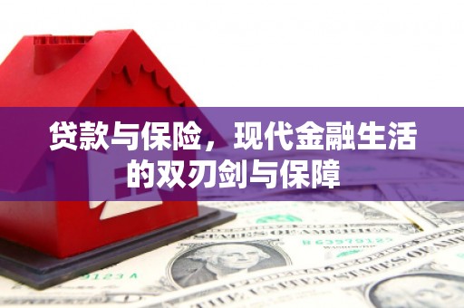 湖内贷款与保险，现代金融生活的双刃剑与保障