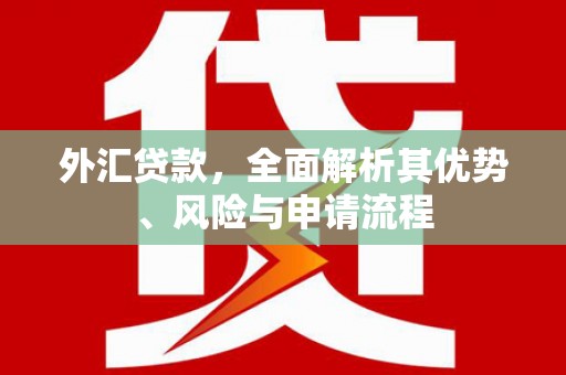 湖内外汇贷款，全面解析其优势、风险与申请流程
