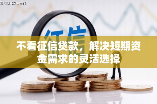 湖内不看征信贷款，解决短期资金需求的灵活选择