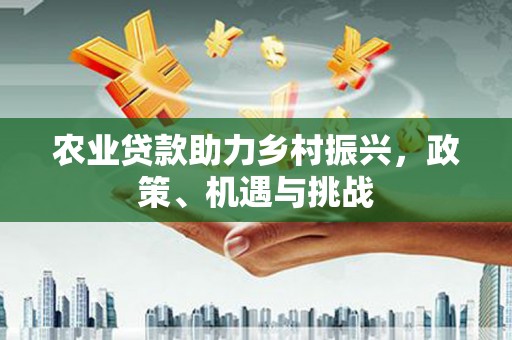 湖内农业贷款助力乡村振兴，政策、机遇与挑战