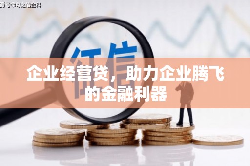 湖内企业经营贷，助力企业腾飞的金融利器