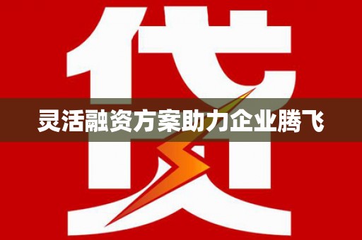 湖内灵活融资方案助力企业腾飞