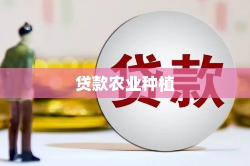 湖内贷款农业种植