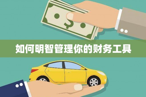 湖内如何明智管理你的财务工具