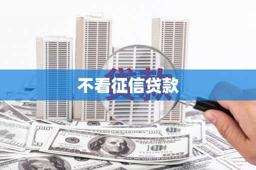 湖内不看征信贷款