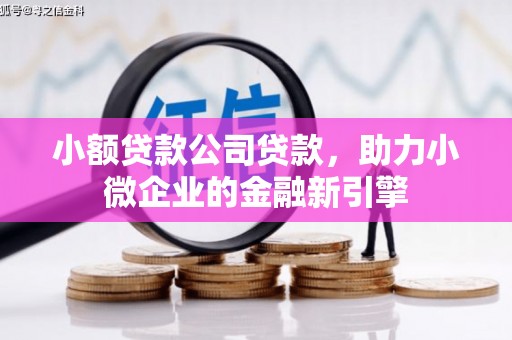 湖内小额贷款公司贷款，助力小微企业的金融新引擎