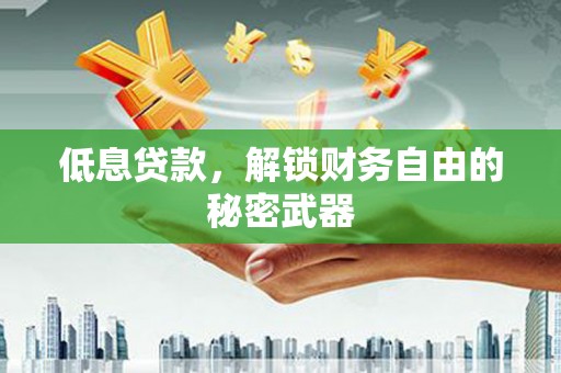 湖内低息贷款，解锁财务自由的秘密武器