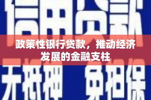 湖内政策性银行贷款，推动经济发展的金融支柱