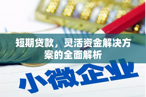 湖内短期贷款，灵活资金解决方案的全面解析