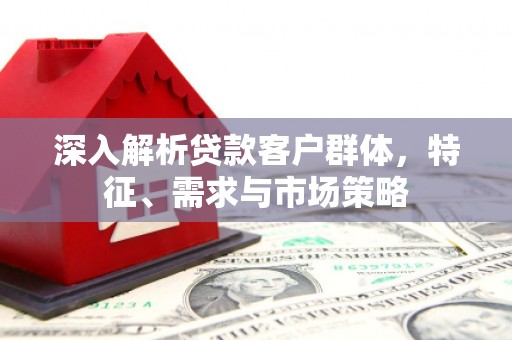 湖内深入解析贷款客户群体，特征、需求与市场策略