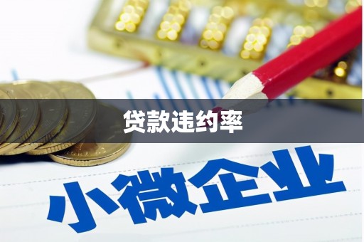 湖内贷款违约率