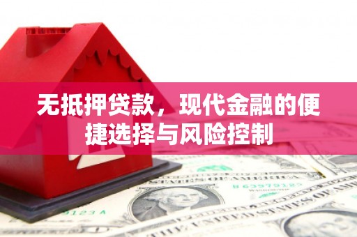 湖内无抵押贷款，现代金融的便捷选择与风险控制