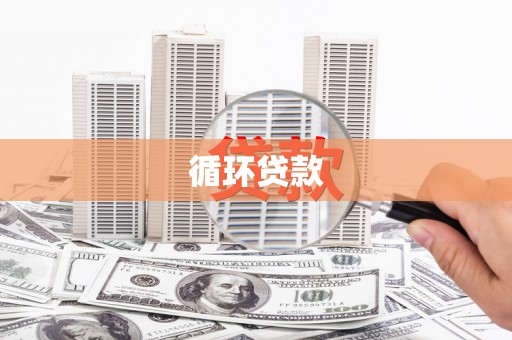 湖内循环贷款