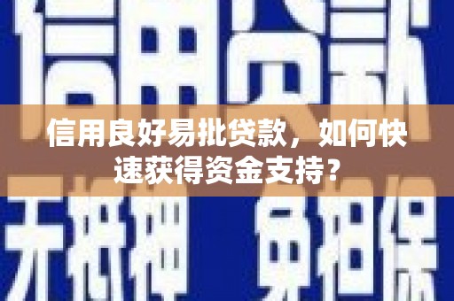 湖内信用良好易批贷款，如何快速获得资金支持？