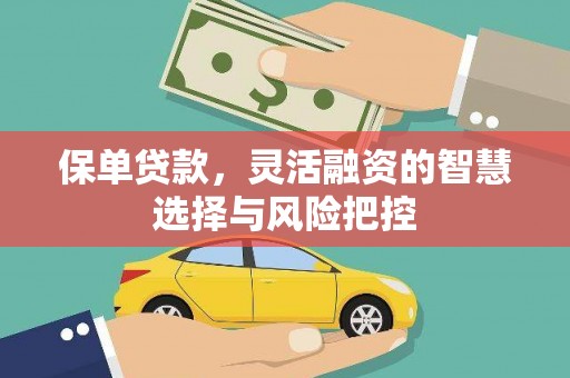 湖内保单贷款，灵活融资的智慧选择与风险把控