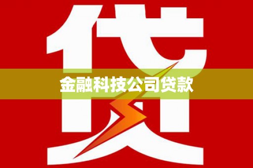 湖内金融科技公司贷款