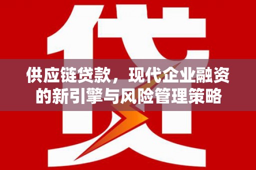 湖内供应链贷款，现代企业融资的新引擎与风险管理策略