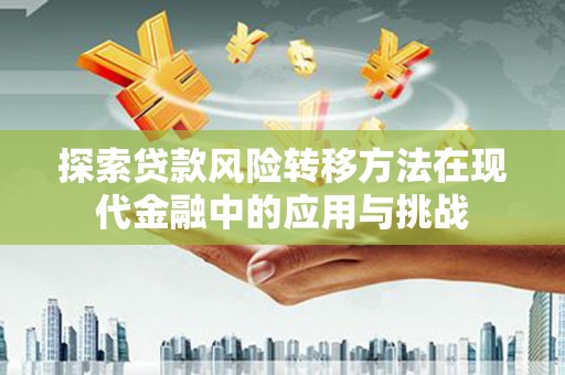 湖内探索贷款风险转移方法在现代金融中的应用与挑战