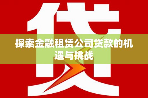 湖内探索金融租赁公司贷款的机遇与挑战