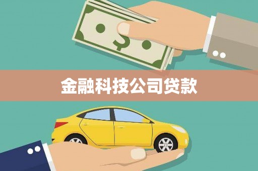 湖内金融科技公司贷款
