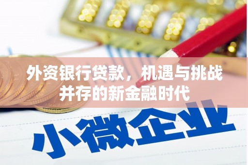 湖内外资银行贷款，机遇与挑战并存的新金融时代