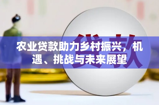 湖内农业贷款助力乡村振兴，机遇、挑战与未来展望