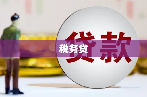 湖内税务贷
