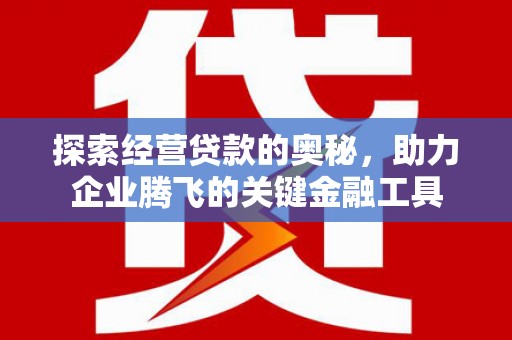 湖内探索经营贷款的奥秘，助力企业腾飞的关键金融工具