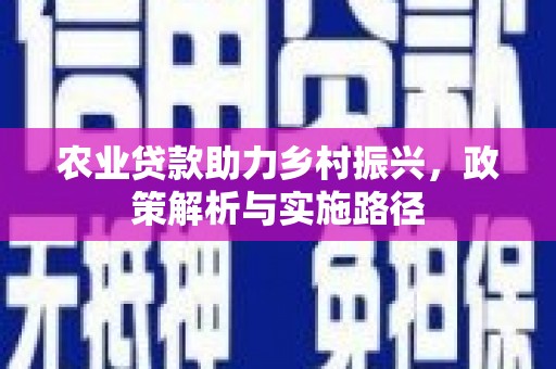 湖内农业贷款助力乡村振兴，政策解析与实施路径