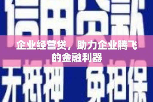 湖内企业经营贷，助力企业腾飞的金融利器