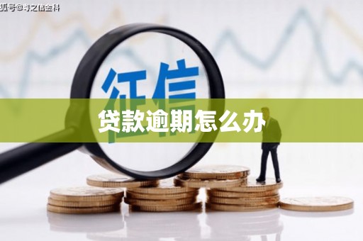 湖内贷款逾期怎么办