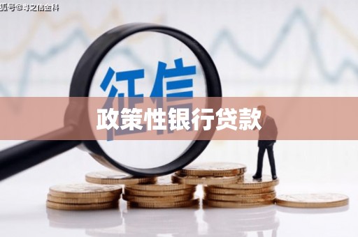 湖内政策性银行贷款