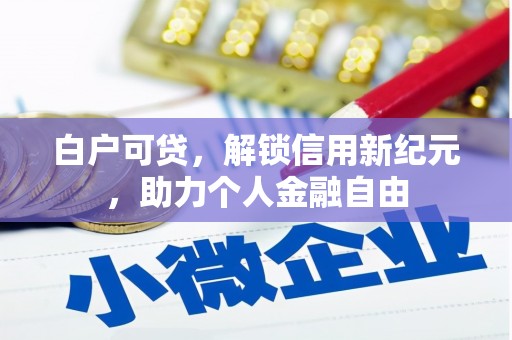 湖内白户可贷，解锁信用新纪元，助力个人金融自由