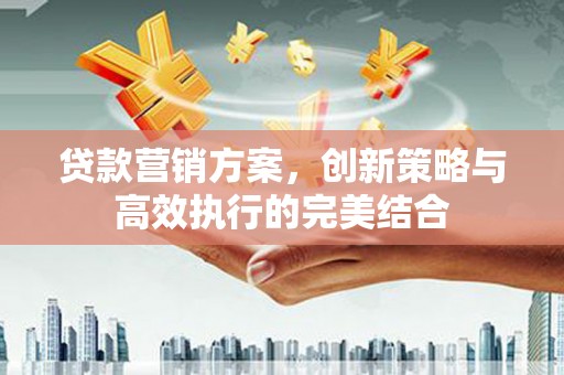 湖内贷款营销方案，创新策略与高效执行的完美结合