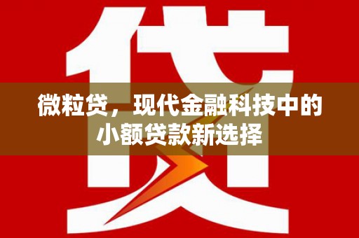 湖内微粒贷，现代金融科技中的小额贷款新选择