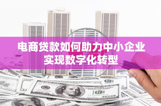 湖内电商贷款如何助力中小企业实现数字化转型