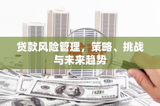 湖内贷款风险管理，策略、挑战与未来趋势