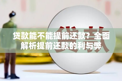 湖内贷款能不能提前还款？全面解析提前还款的利与弊