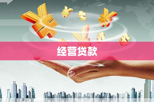 湖内经营贷款