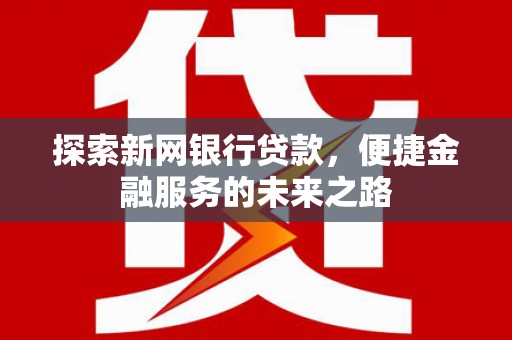 湖内探索新网银行贷款，便捷金融服务的未来之路