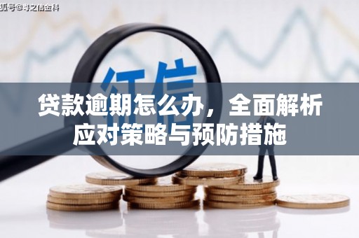 湖内贷款逾期怎么办，全面解析应对策略与预防措施