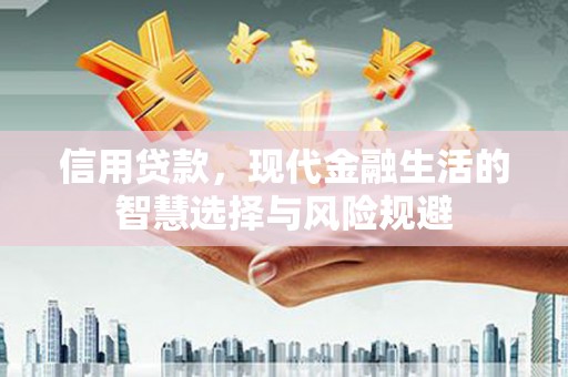 湖内信用贷款，现代金融生活的智慧选择与风险规避