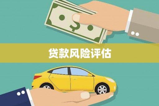 湖内贷款风险评估