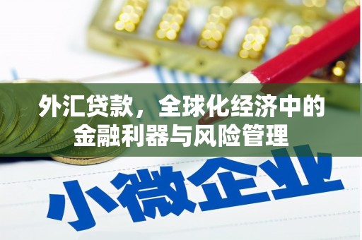 湖内外汇贷款，全球化经济中的金融利器与风险管理