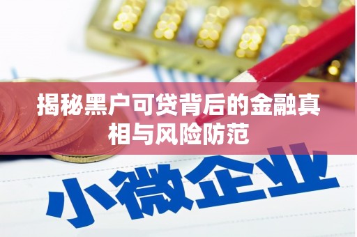 湖内揭秘黑户可贷背后的金融真相与风险防范