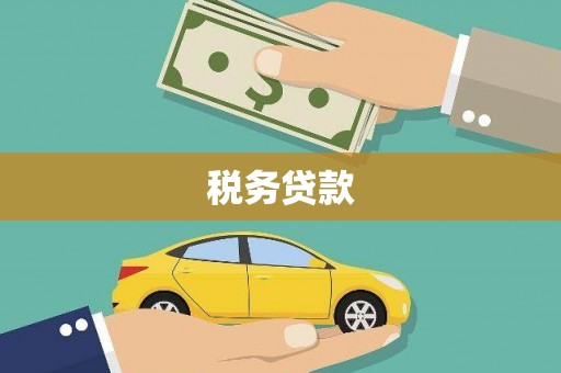 湖内税务贷款