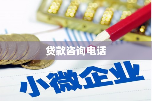 湖内贷款咨询电话